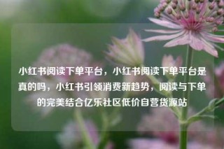 小红书阅读下单平台，小红书阅读下单平台是真的吗，小红书引领消费新趋势，阅读与下单的完美结合亿乐社区低价自营货源站