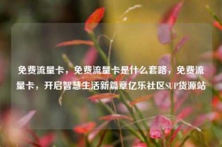 免费流量卡，免费流量卡是什么套路，免费流量卡，开启智慧生活新篇章亿乐社区SUP货源站