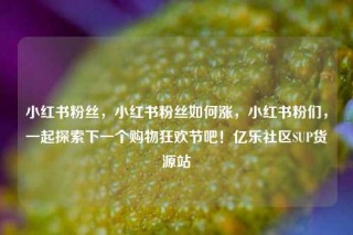 小红书粉丝，小红书粉丝如何涨，小红书粉们，一起探索下一个购物狂欢节吧！亿乐社区SUP货源站