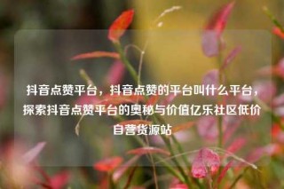 抖音点赞平台，抖音点赞的平台叫什么平台，探索抖音点赞平台的奥秘与价值亿乐社区低价自营货源站