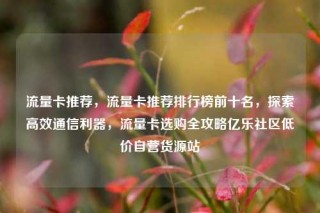 流量卡推荐，流量卡推荐排行榜前十名，探索高效通信利器，流量卡选购全攻略亿乐社区低价自营货源站