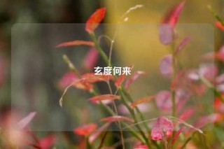 玄度何来