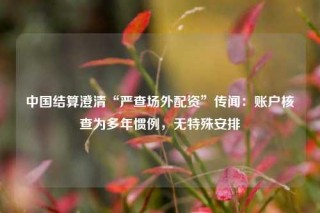 中国结算澄清“严查场外配资”传闻：账户核查为多年惯例，无特殊安排