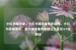 小红书播放量，小红书播放量有收益吗，小红书流量密码，提升播放量的秘籍亿乐社区SUP货源站
