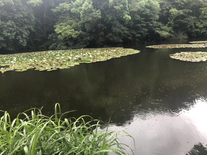 花开之处，便是故地  第8张