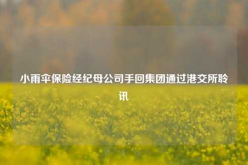 小雨伞保险经纪母公司手回集团通过港交所聆讯  第1张