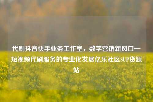 代刷抖音快手业务工作室，数字营销新风口—短视频代刷服务的专业化发展亿乐社区SUP货源站  第1张
