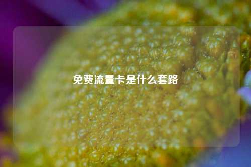 免费流量卡是什么套路  第1张