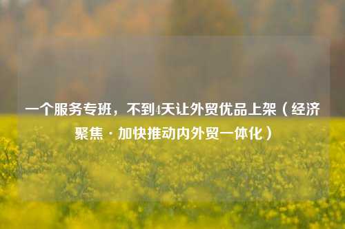 一个服务专班，不到4天让外贸优品上架（经济聚焦·加快推动内外贸一体化）  第1张