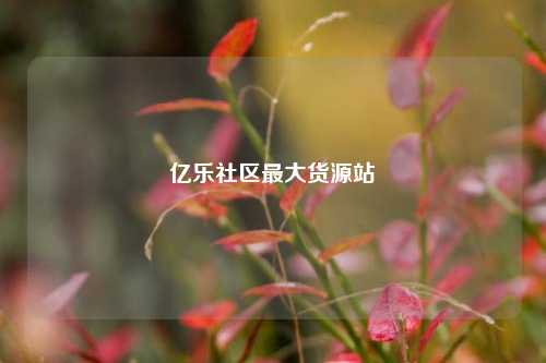 亿乐社区最大货源站  第1张