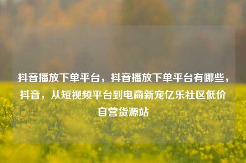 抖音播放下单平台，抖音播放下单平台有哪些	，抖音，从短视频平台到电商新宠亿乐社区低价自营货源站  第1张