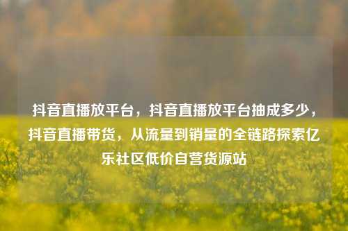 抖音直播放平台，抖音直播放平台抽成多少，抖音直播带货，从流量到销量的全链路探索亿乐社区低价自营货源站  第1张