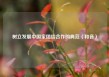 树立发展中国家团结合作的典范（和音）
