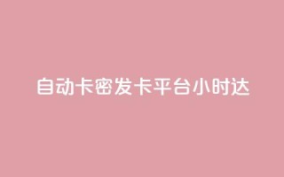 自动卡密发卡平台24小时达