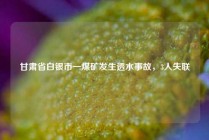 甘肃省白银市一煤矿发生透水事故，3人失联