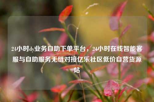 24小时dy业务自助下单平台，24小时在线智能客服与自助服务无缝对接亿乐社区低价自营货源站  第1张