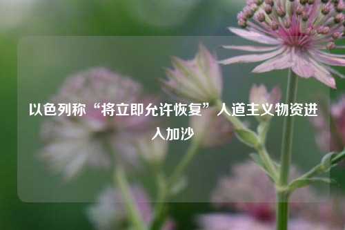 以色列称“将立即允许恢复”人道主义物资进入加沙  第1张