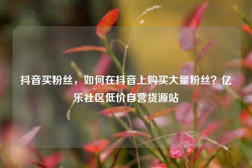 抖音买粉丝，如何在抖音上购买大量粉丝？亿乐社区低价自营货源站  第1张
