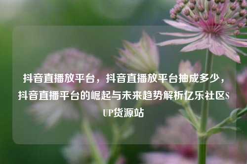 抖音直播放平台，抖音直播放平台抽成多少	，抖音直播平台的崛起与未来趋势解析亿乐社区SUP货源站  第1张