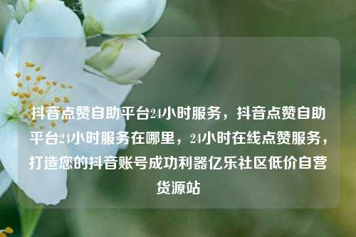 抖音点赞自助平台24小时服务，抖音点赞自助平台24小时服务在哪里	，24小时在线点赞服务，打造您的抖音账号成功利器亿乐社区低价自营货源站  第1张