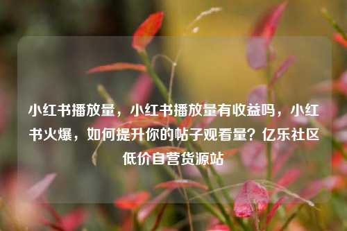 小红书播放量	，小红书播放量有收益吗，小红书火爆，如何提升你的帖子观看量？亿乐社区低价自营货源站  第1张