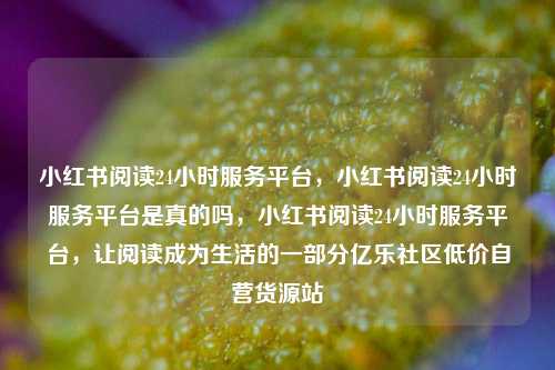 小红书阅读24小时服务平台	，小红书阅读24小时服务平台是真的吗，小红书阅读24小时服务平台，让阅读成为生活的一部分亿乐社区低价自营货源站  第1张