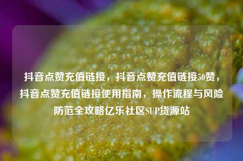 抖音点赞充值链接，抖音点赞充值链接50赞	，抖音点赞充值链接使用指南，操作流程与风险防范全攻略亿乐社区SUP货源站  第1张